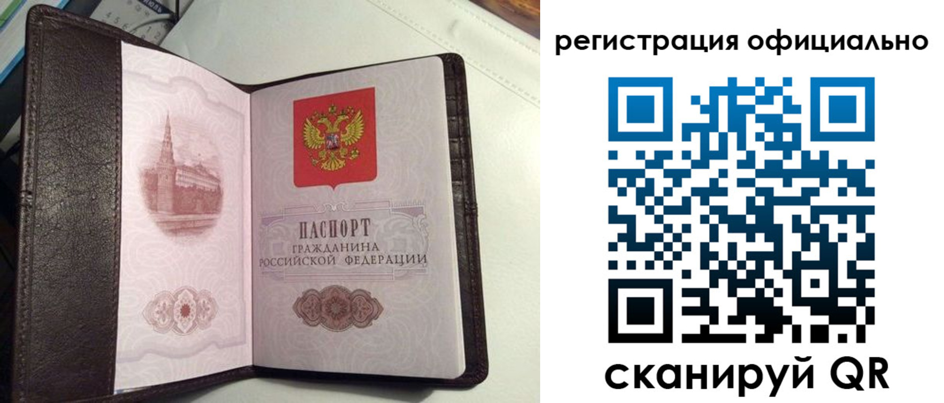 прописка ребенка в Ростове