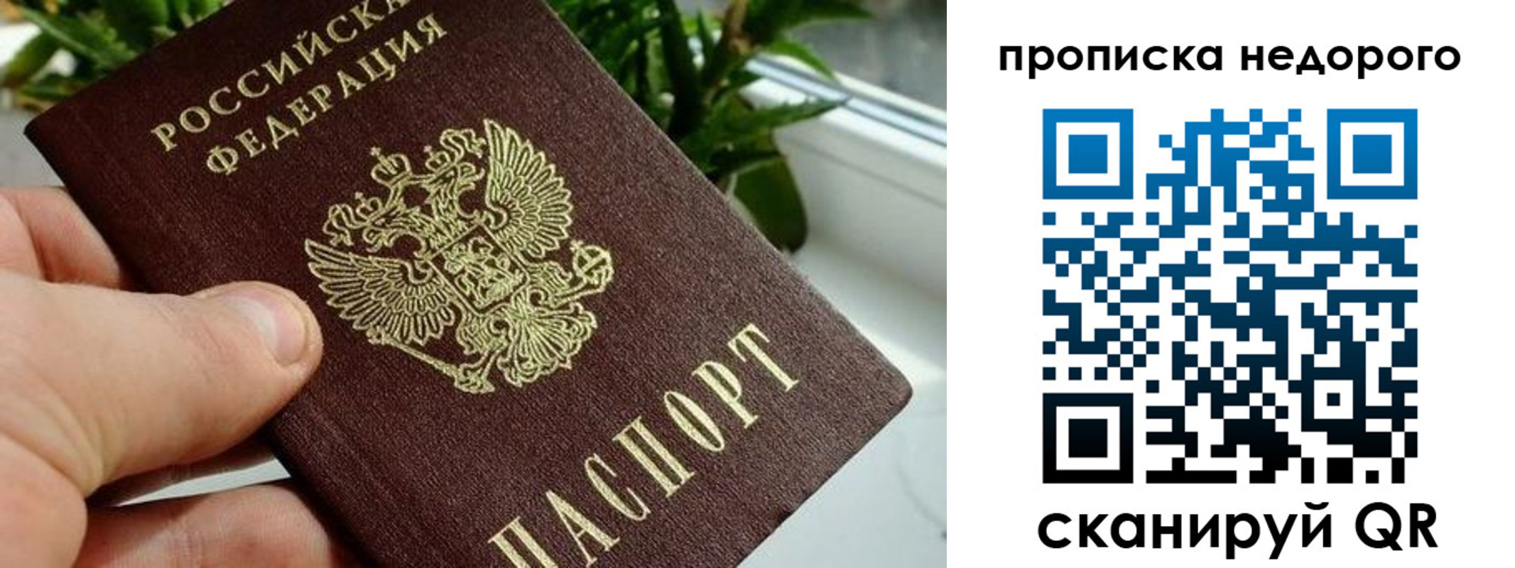 прописка для кредита в Ростове